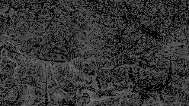 Vector abstracte aardreliëfkaart Gegenereerde conceptuele hoogtekaart Isolijnen van landschapsoppervlaktehoogte Geografische kaart conceptueel ontwerp Elegante achtergrond voor presentaties