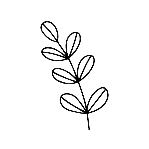 Vector acacia leaf doodle clipart Acacia autumn leaf illustration
