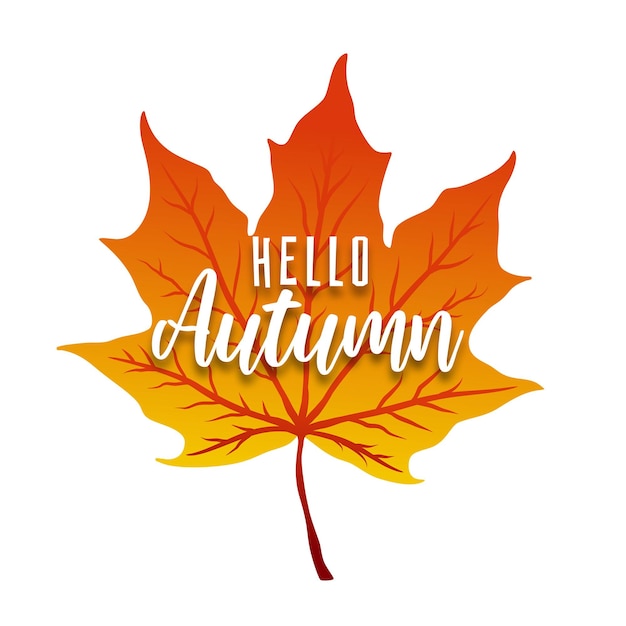 Vector achtergrond met hand belettering hallo herfst en bladeren geïsoleerd op een witte achtergrond.