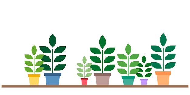 Vector afbeelding met planten in een pot op een plank huisplanten