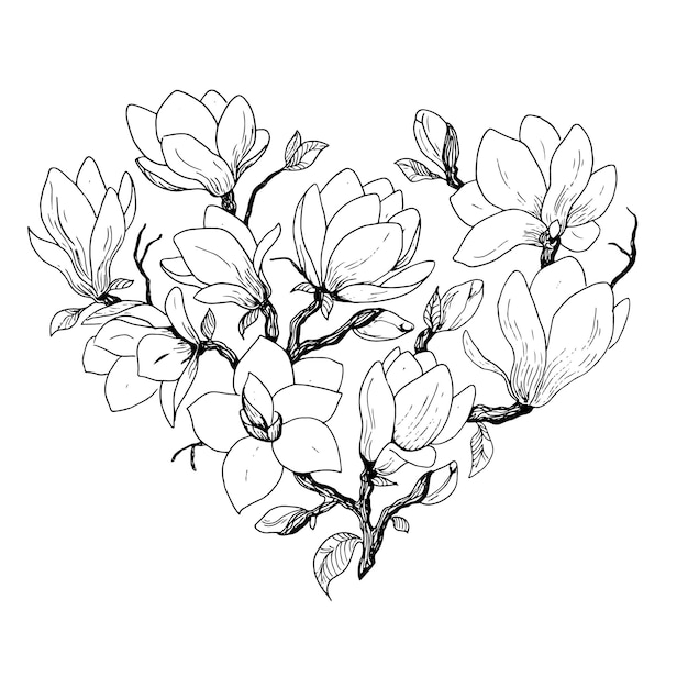 Vector vector afbeelding van magnolia bloemen botanische bloemen illustratie getekende set