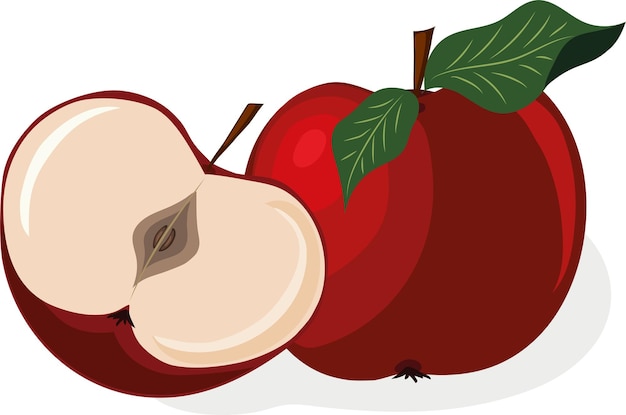 Vector afbeelding van rode appel Appel met een groen blad Gesneden appel Een halve appel