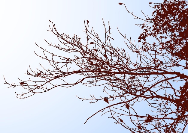Vector vector afbeelding van silhouetten eiken takken tegen de blauwe lucht in het herfstseizoen