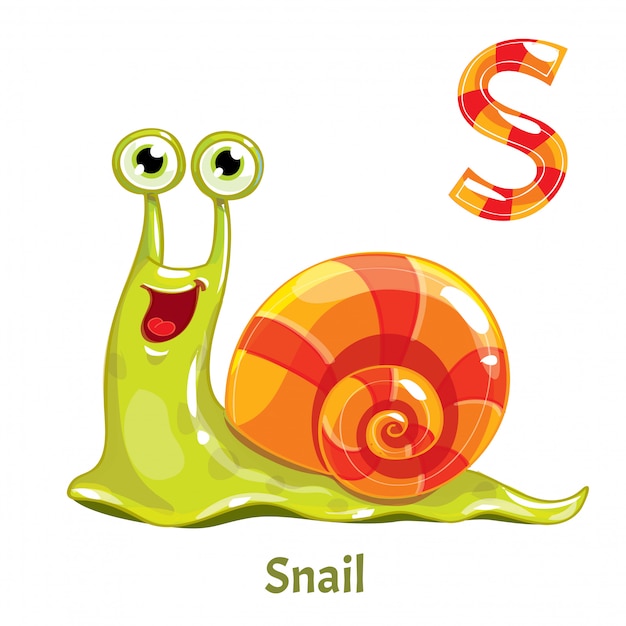 Vector vector alfabet letter s. snail