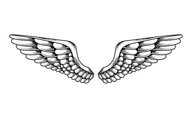 Vector vector angel wings tattoo design