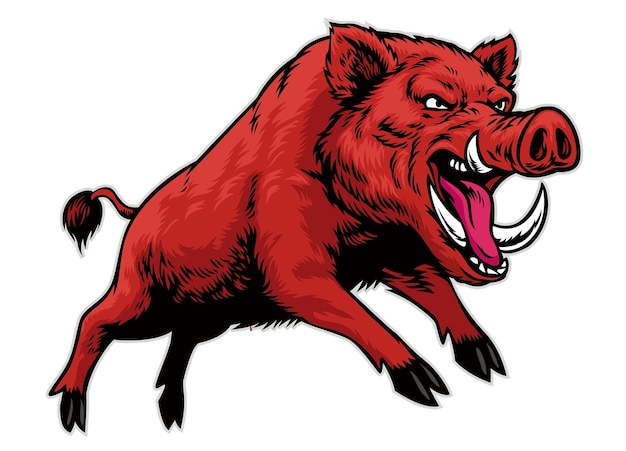 vector of angry aggressive wild boar