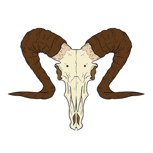 Vector vector animal skull hand drawn illustration western style logo isolated on white