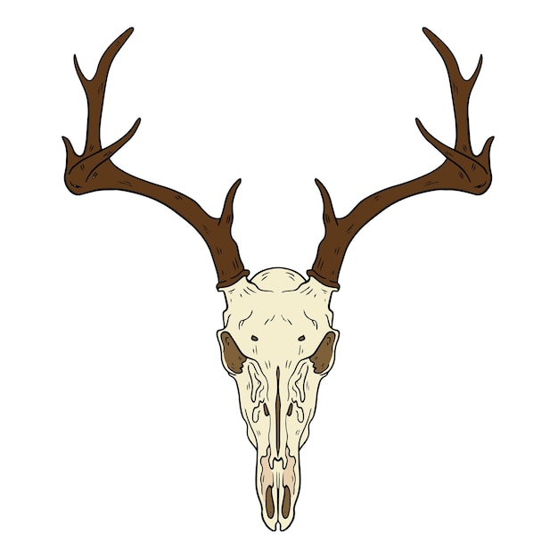 Векторный череп животного, нарисованный вручную, логотип в западном стиле, выделенный на белом