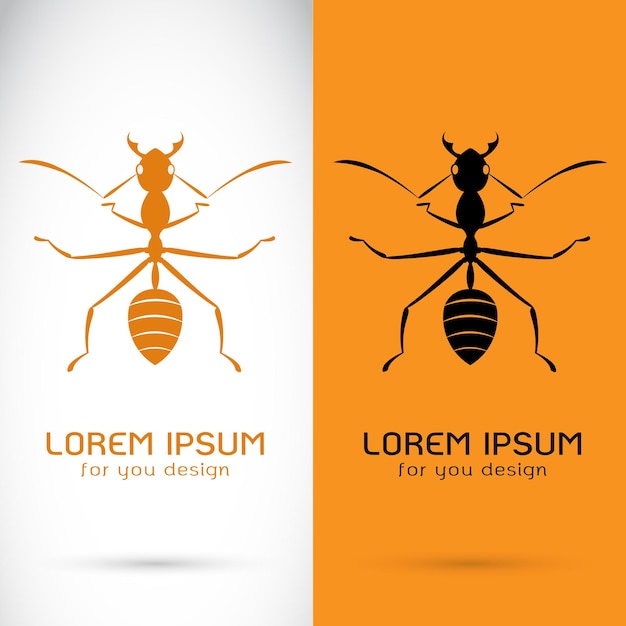 Вектор муравьиного дизайна на белом фоне и оранжевом фоне Logo Symbol