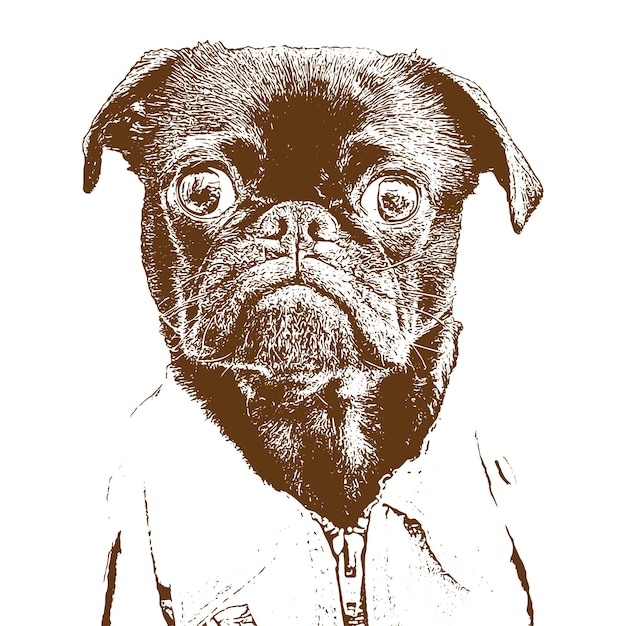 vector antique engraving drawing illustration of dog on white board
