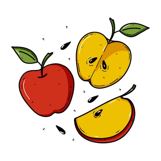 Vector apple doodle illustration Fruit illustration for farm market menu Healthy food design