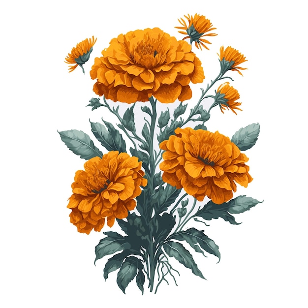 Vector aquarel Afrikaanse Goudsbloem clipart bloemenboeket