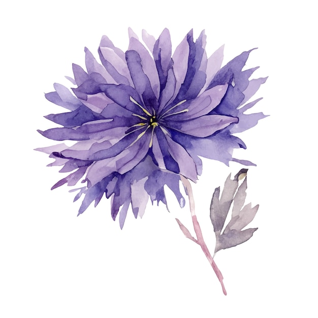 Vector vector aquarel bloemen illustratie