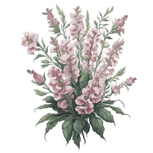 Vector aquarel Chantilly leeuwebekjes clipart bloemenboeket