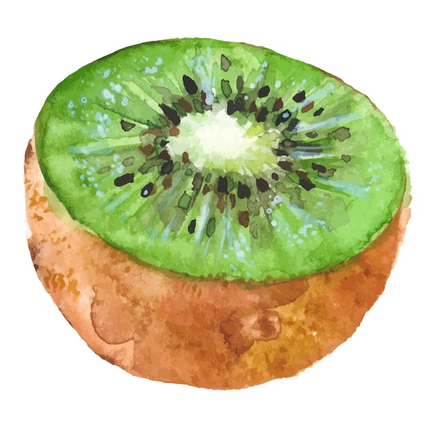 Vector aquarel geschilderd kiwi Hand getrokken vers voedsel ontwerpelementen geïsoleerd op een witte achtergrond