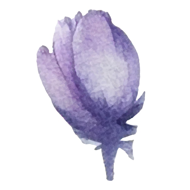 Vector aquarel geschilderde bloem Hand getrokken bloem ontwerpelementen geïsoleerd op een witte achtergrond