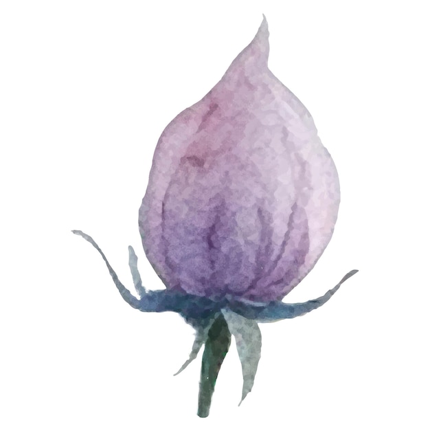 Vector aquarel geschilderde bloem Hand getrokken bloem ontwerpelementen geïsoleerd op een witte achtergrond