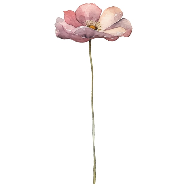 Vector aquarel geschilderde bloem illustratie Hand getrokken bloem ontwerpelementen geïsoleerd op een witte achtergrond