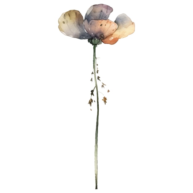 Vector aquarel geschilderde bloem illustratie Hand getrokken bloem ontwerpelementen geïsoleerd op een witte achtergrond