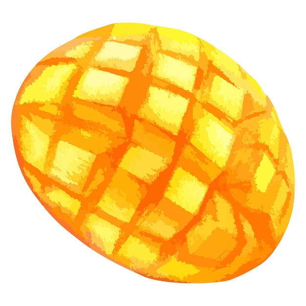 Vector aquarel illustratie van mango fruit