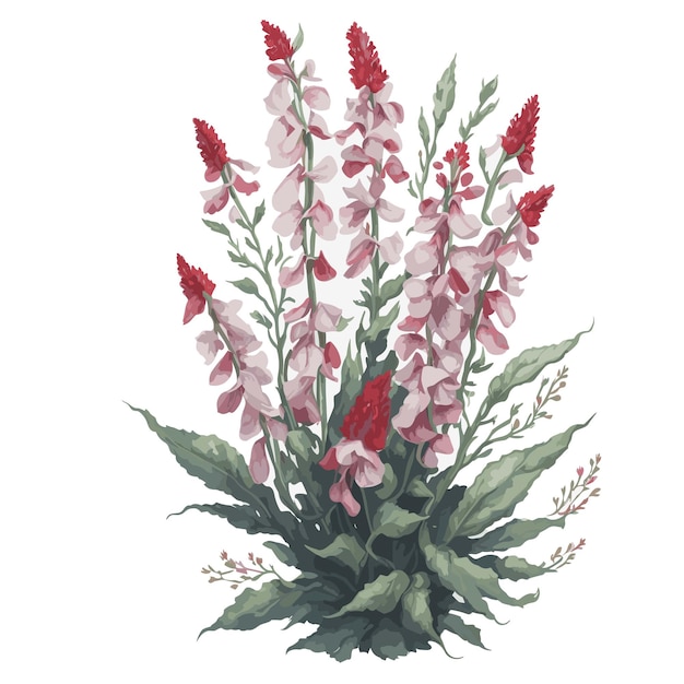 Vector aquarel pijl leeuwebekjes clipart bloemen