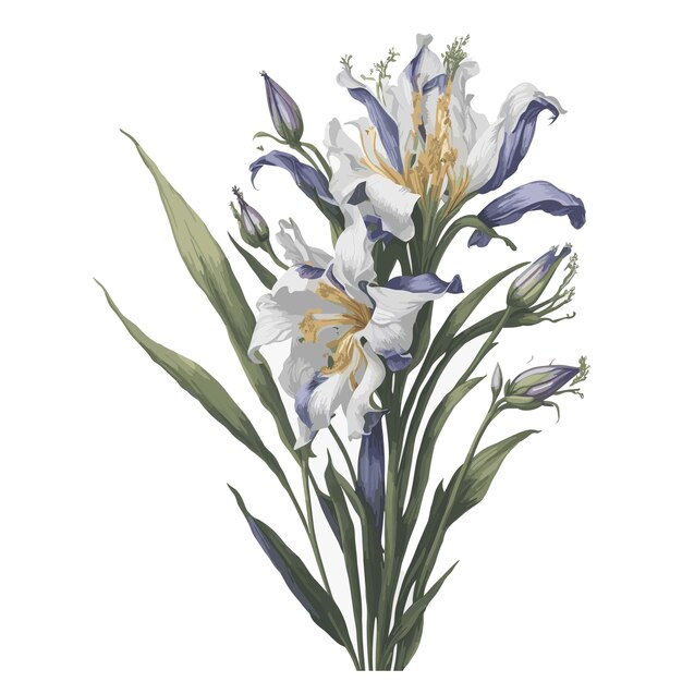 Vector aquarel Spuria iris clipart bloemen