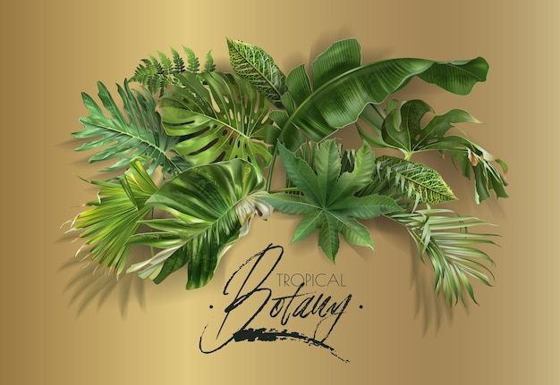 Вектор Векторное расположение зеленых тропических листьев на золотом фоне