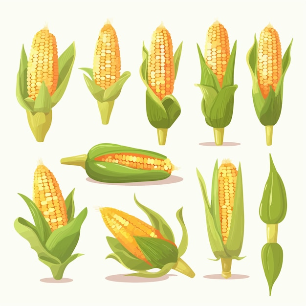 Vector art of Corn stalks swaying in the wind