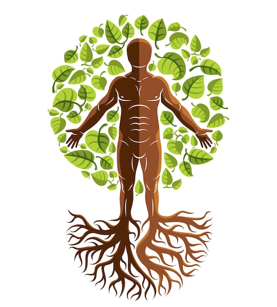 Vector athletic man created as continuation of tree with strong roots and organic green leaves. Green tourism, go green idea illustration.