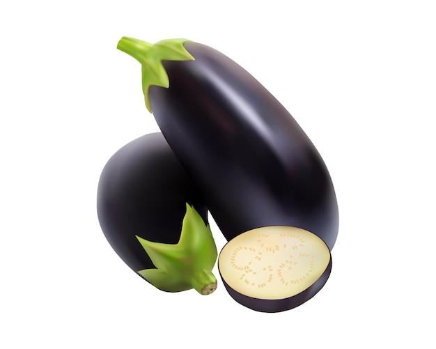 Vector aubergine illustratie realistisch geïsoleerd op witte achtergrond eps 10
