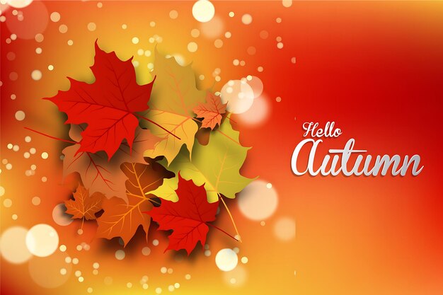 Vector Autumn Fall Background Vector Autumn Fall Background design Vector Autumn