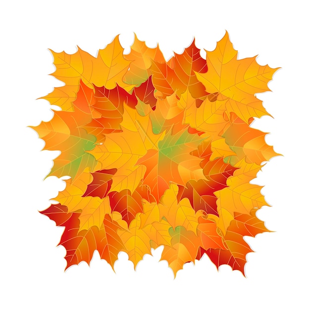 Vector autumn fallen leaves Leafs element floral color garden