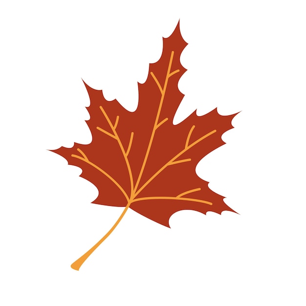 Vector autumn leaf Fall red maple leaf Orange foliage Autumn maple tree