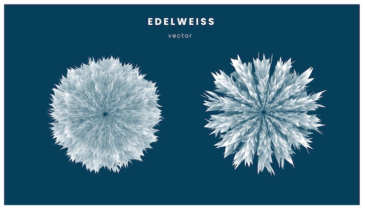 Vector エーデルワイスの花と雪の結晶の青のベクトルの背景