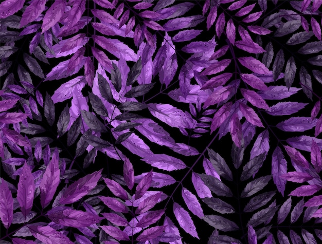 Vector vector background image of lilac and purple foliage on a black background cartoon style eps 10