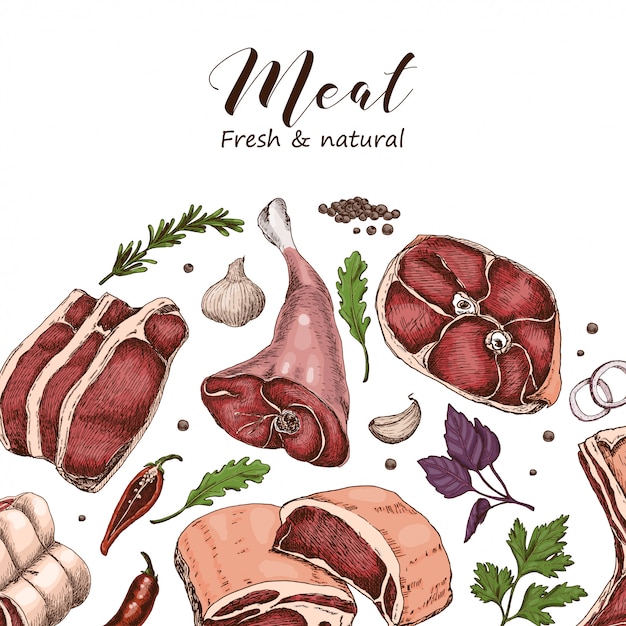 Vector vector background with different color meats