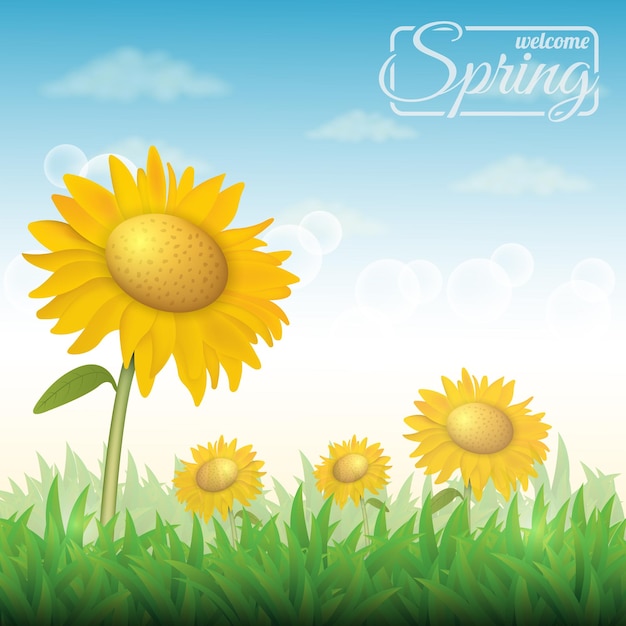 vector background with four sunflowers on a blue sky and green grass