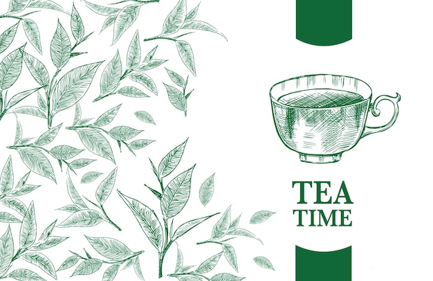 Vector background with green tea hand drawn