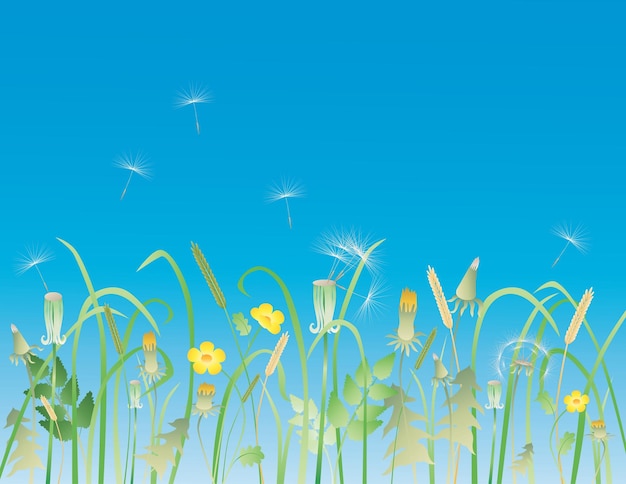 Vector vector background with meadow wildflowers against blue sky