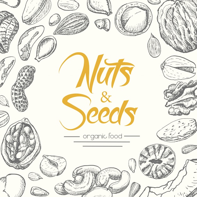 ナッツと種子のベクトルの背景