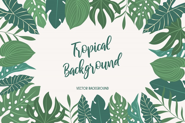 Vector background with tropical leaves