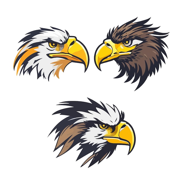 Vector bald eagle head logo design template