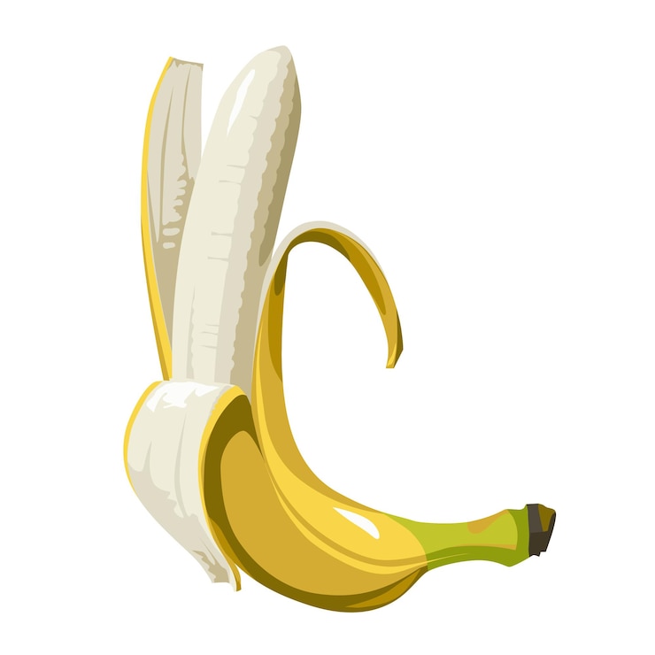 Vector vector banana one closed whole the second one is cleared