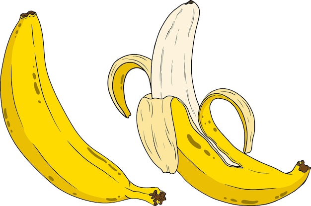 Vector bananen geschild bananen bananen huid bunch van bananen Tropische oogst en landbouw