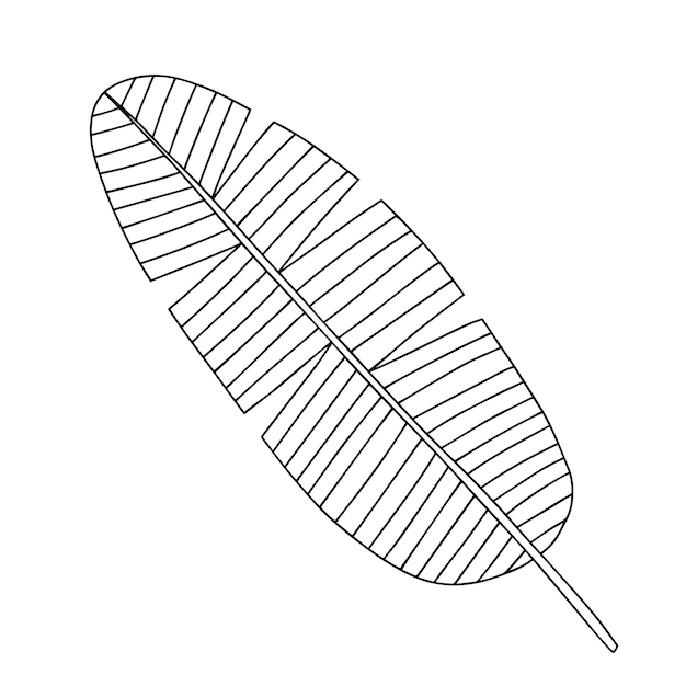 Vector bananenblad schets geïsoleerd