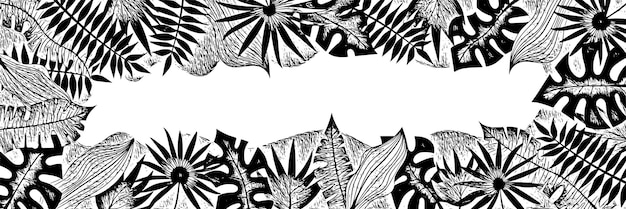 Vector vector banner of tropical leaves floral frame black white