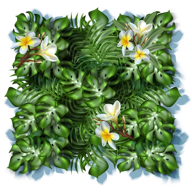 Vector vector banner tropical leaves in square green wall with frangipani flowers and plants isolated o