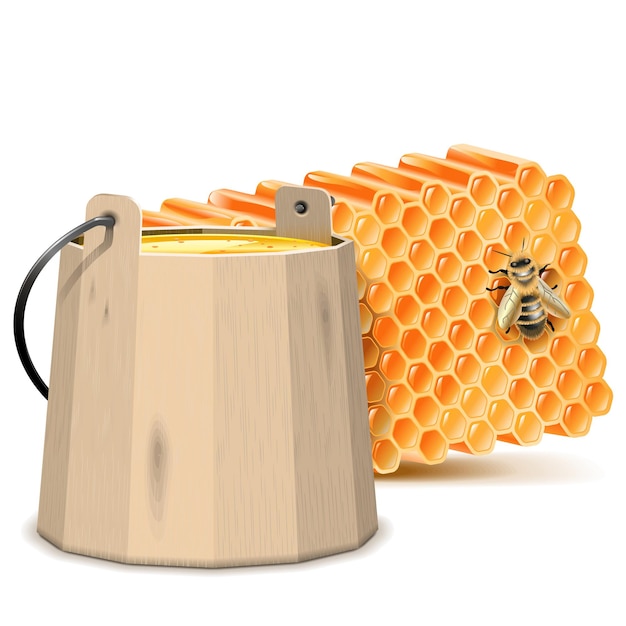 Vector vector barrel with honeycombs isolated on white background