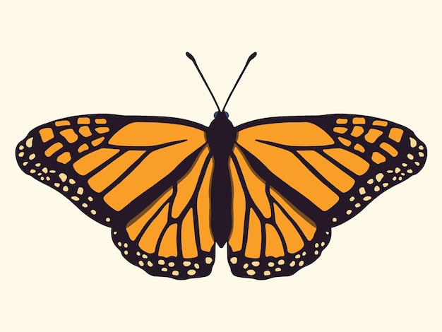 Vector vector based butterfly pattern illustration