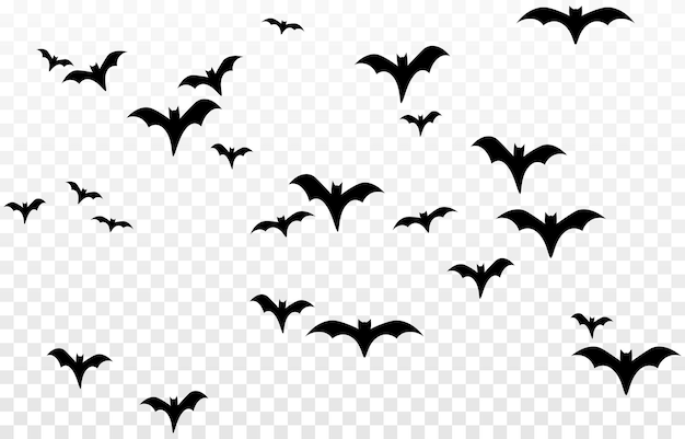 Halloween Bat and Spiders transparent PNG - StickPNG